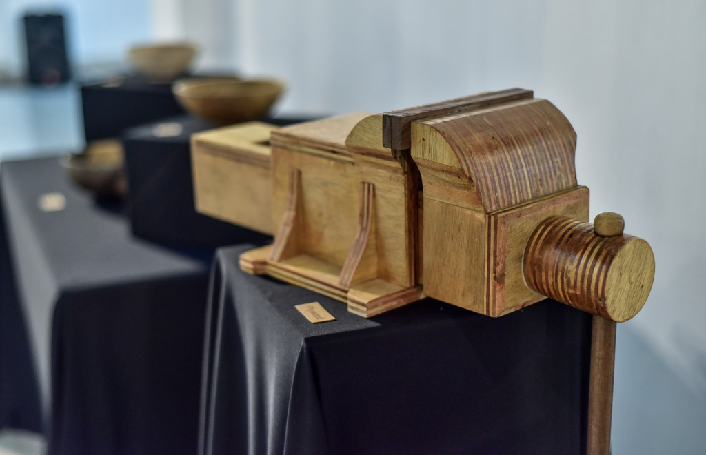 އަޒްމީގެ ހުނަރު ދައްކާލުމަށް ފެށި އެގްޒިބިޝަން