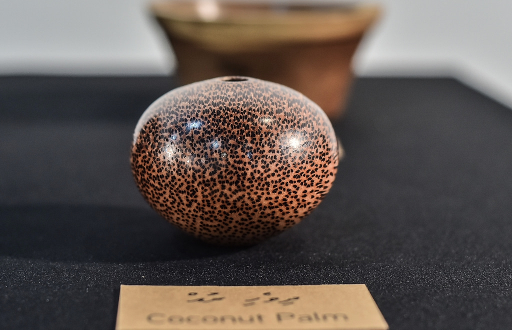 އަޒްމީގެ ހުނަރު ދައްކާލުމަށް ފެށި އެގްޒިބިޝަން