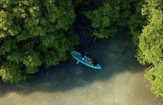 ހުރާގައި ގެސްޓްހައުސް އަޅަން 17 ބިން ކުއްޔަށް ދޫކުރަނީ