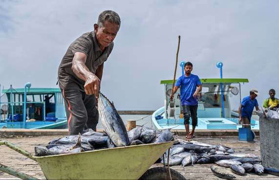 މަހުގެ އެކްސްޕޯޓުން 123 މިލިއަން ޑޮލަރު ލިބުނު
