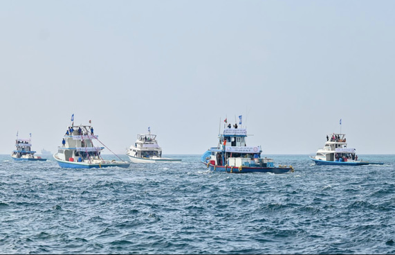 10 ކިލޯ ހަމަވާ ކަންނެލި މިފްކޯއަށް ގަންނަން ފަށައިފި