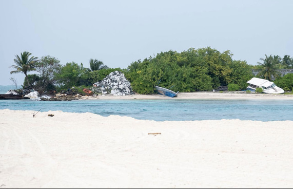 ހުދުފުށީގެ ކުނިބުނިން "ނަލަ މޯލްޑިވްސް އަށް" ތިމާވެށީގެ ކާރިސާއެއް!